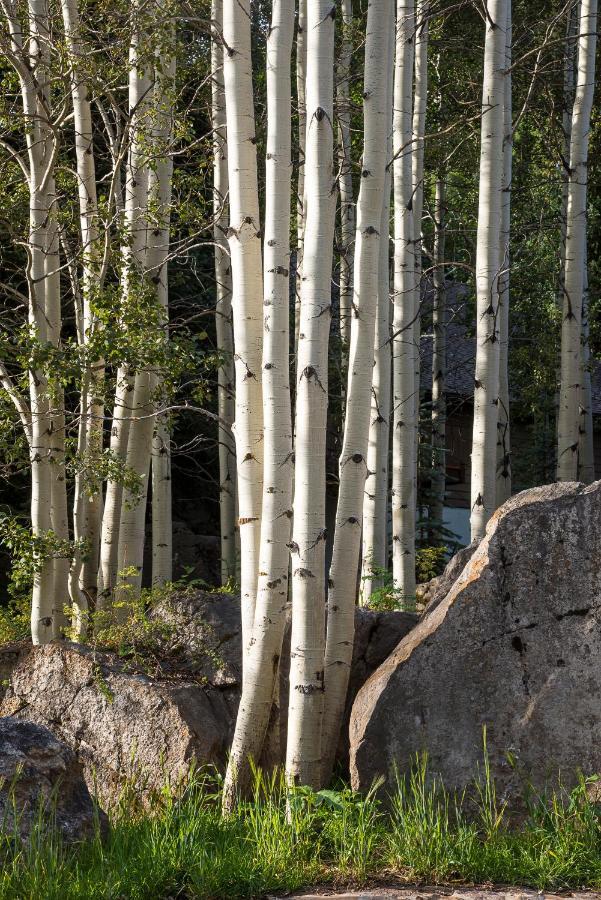 Amazing Highcliffe Lodge Vail Buitenkant foto